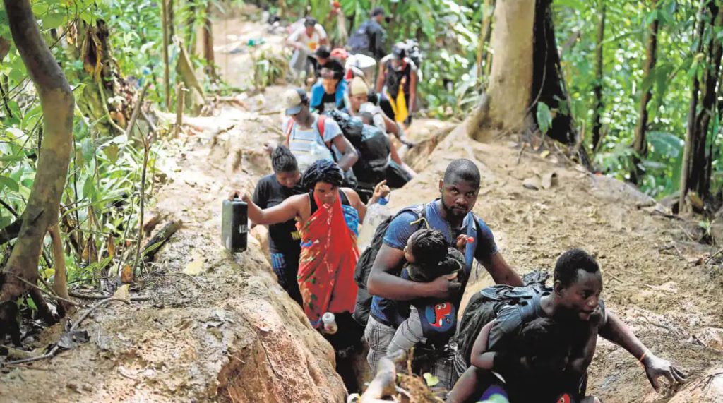 Migrantes de diversas nacionalidades cruzaron la selva del Darién masivamente en 2023. Foto: AFP