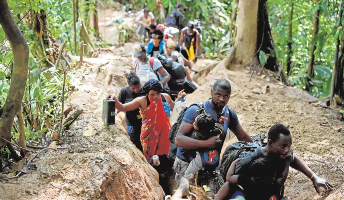 Migrantes de diversas nacionalidades cruzaron la selva del Darién masivamente en 2023. Foto: AFP